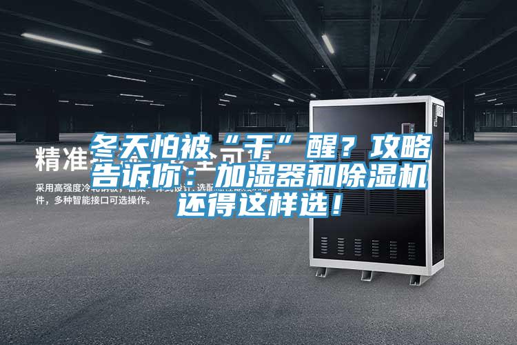 冬天怕被“干”醒？攻略告訴你：加濕器和除濕機還得這樣選！