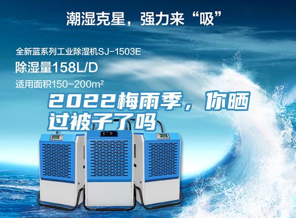 2022梅雨季，你曬過被子了嗎
