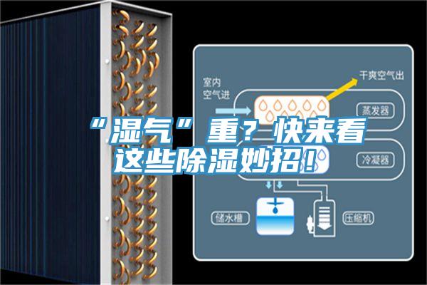 “濕氣”重？快來看這些除濕妙招！