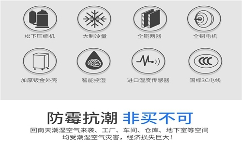 為什么房子潮濕會有危害?