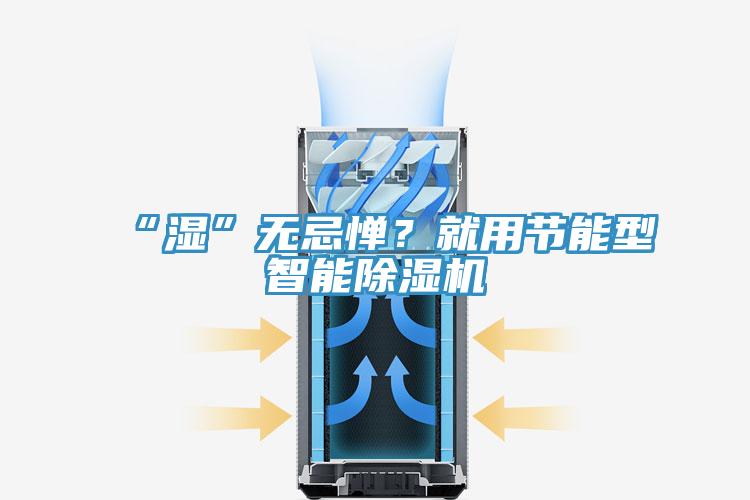 “濕”無忌憚？就用節能型智能除濕機