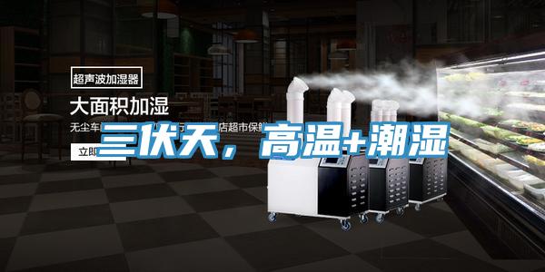 三伏天，高溫+潮濕