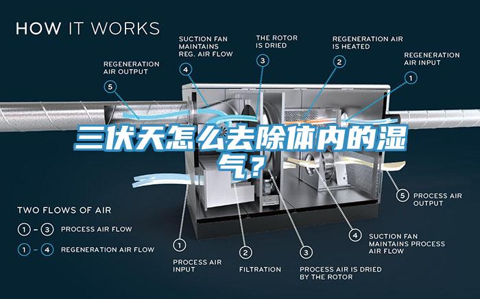 三伏天怎么去除體內的濕氣？