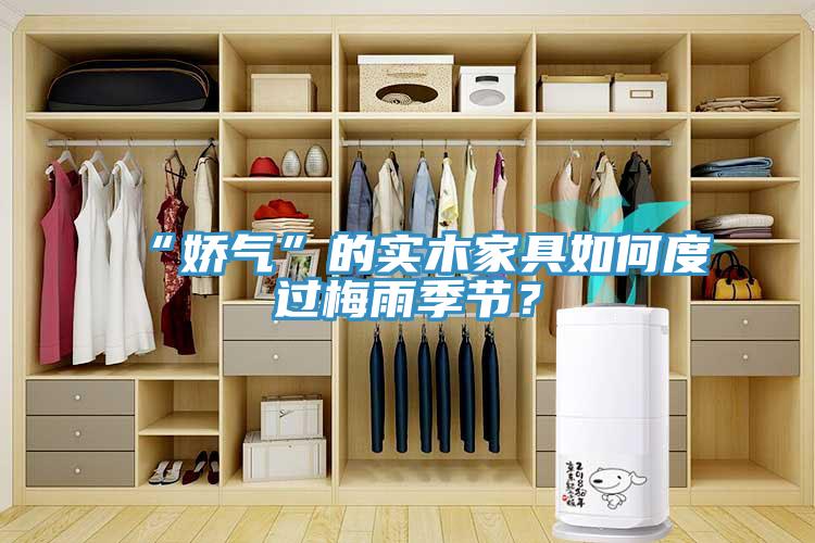 “嬌氣”的實木家具如何度過梅雨季節？