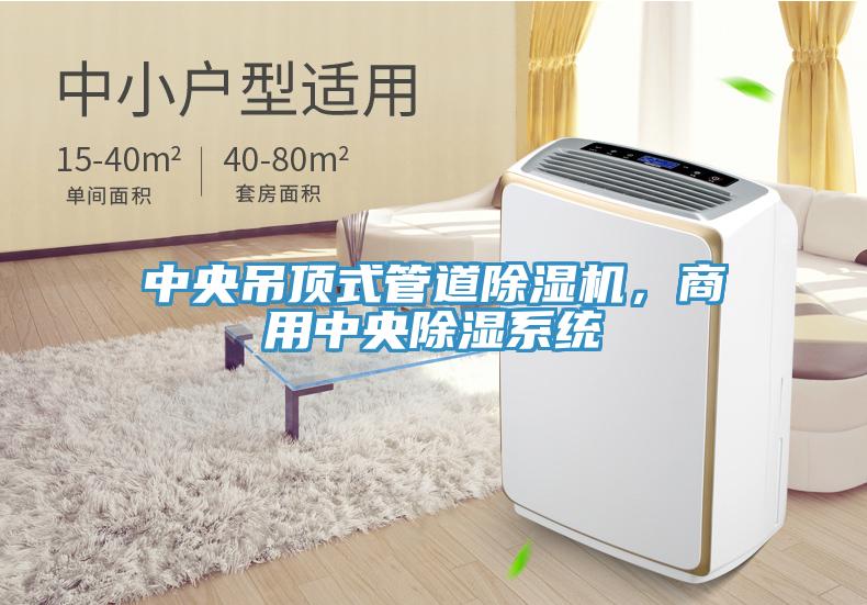 中央吊頂式管道除濕機(jī),商用中央除濕系統(tǒng)