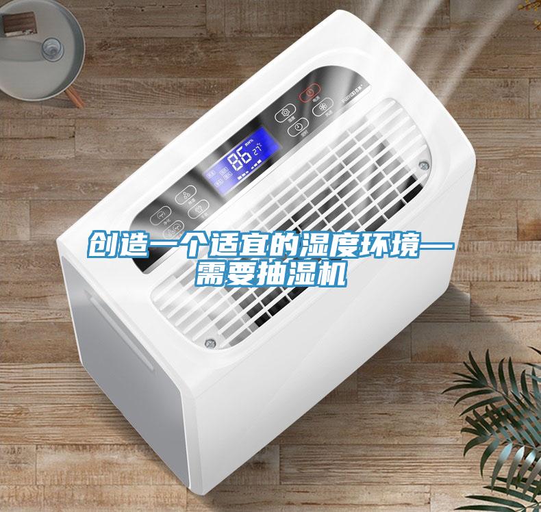 創造一個適宜的濕度環境—需要抽濕機