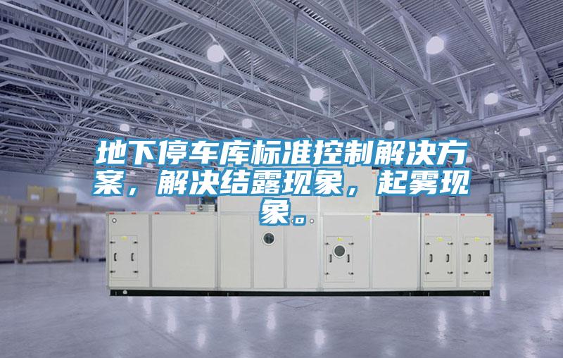 地下停車(chē)庫(kù)標(biāo)準(zhǔn)控制解決方案，解決結(jié)露現(xiàn)象，起霧現(xiàn)象。