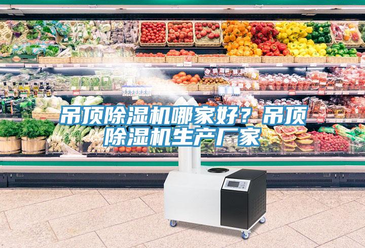 吊頂除濕機哪家好？吊頂除濕機生產廠家