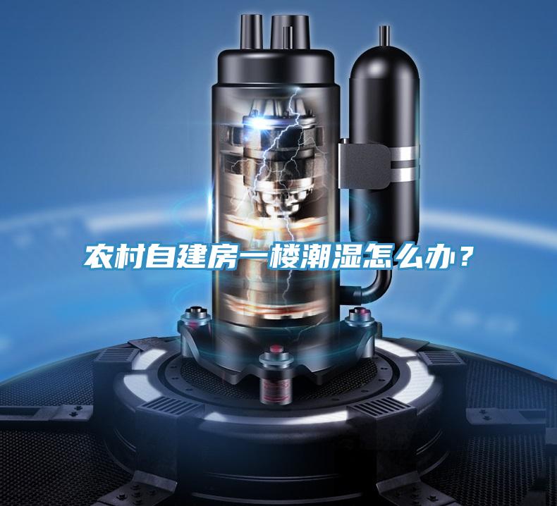農村自建房一樓潮濕怎么辦?