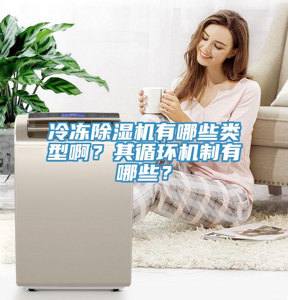 冷凍除濕機有哪些類型啊?其循環(huán)機制有哪些?