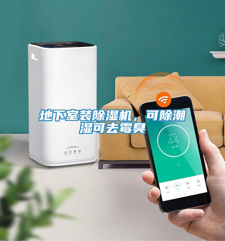 地下室裝除濕機,可除潮濕可去霉臭
