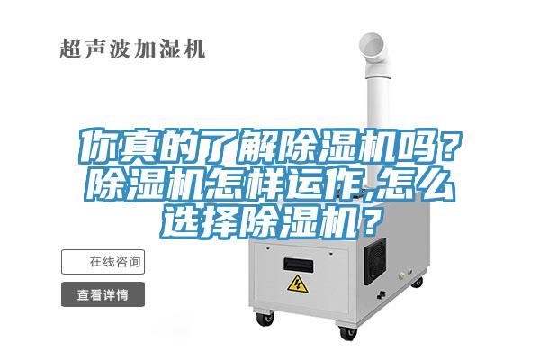 你真的了解除濕機嗎?除濕機怎樣運作,怎么選擇除濕機?