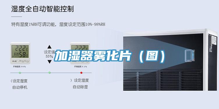 加濕器霧化片(圖)