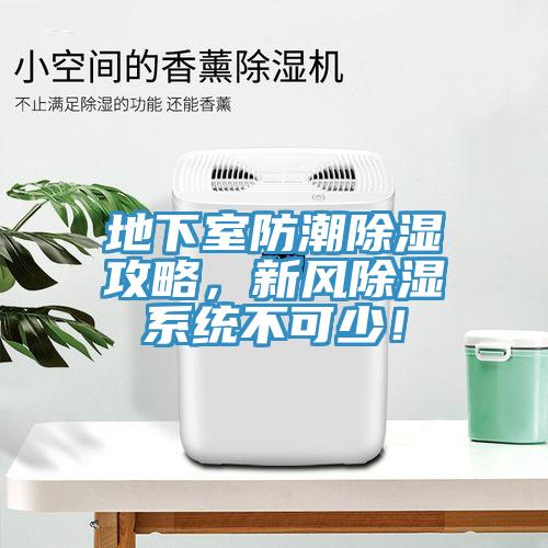 地下室防潮除濕攻略,新風除濕系統不可少!
