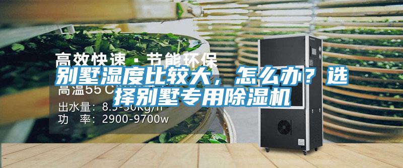 別墅濕度比較大，怎么辦？選擇別墅專用除濕機