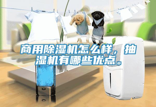 商用除濕機怎么樣，抽濕機有哪些優點。
