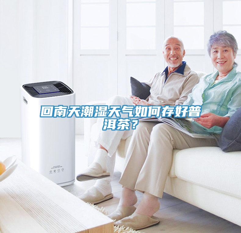 回南天潮濕天氣如何存好普洱茶?