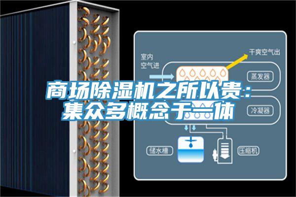商場除濕機(jī)之所以貴:集眾多概念于一體