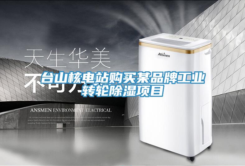 臺山核電站購買某品牌工業轉輪除濕項目