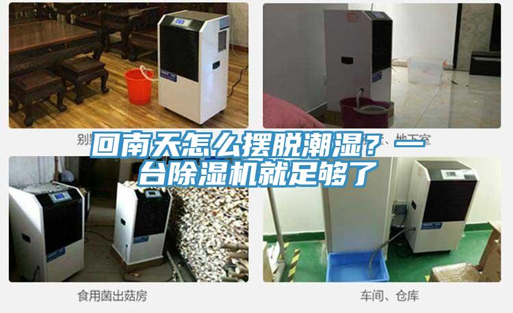 回南天怎么擺脫潮濕？一臺除濕機就足夠了