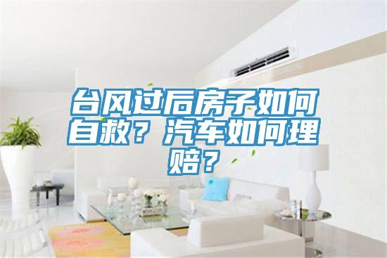 臺風過后房子如何自救？汽車如何理賠？