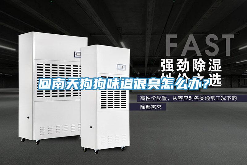 回南天狗狗味道很臭怎么辦？