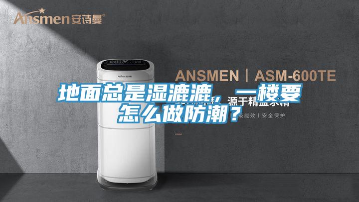 地面總是濕漉漉，一樓要怎么做防潮？