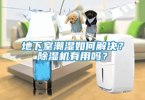 地下室潮濕如何解決?除濕機有用嗎?