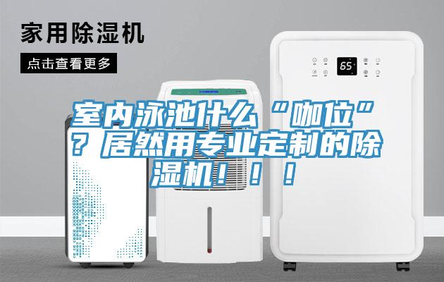 室內泳池什么“咖位”？居然用專業定制的除濕機！??！