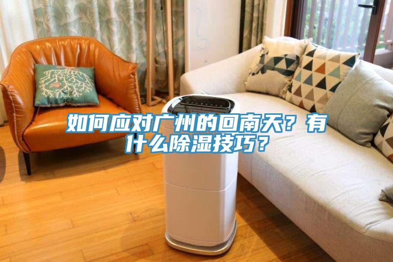 如何應(yīng)對廣州的回南天？有什么除濕技巧？
