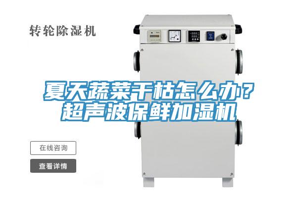 夏天蔬菜干枯怎么辦?超聲波保鮮加濕機