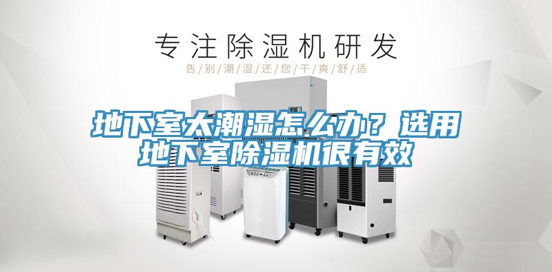 地下室太潮濕怎么辦?選用地下室除濕機很有效