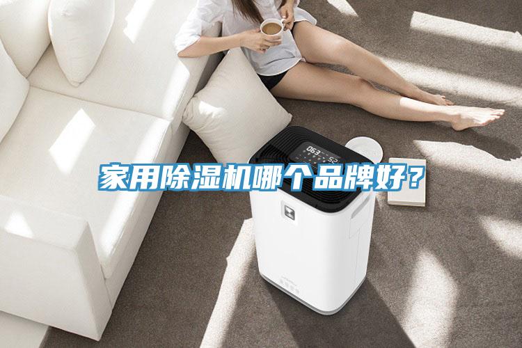 家用除濕機哪個品牌好?