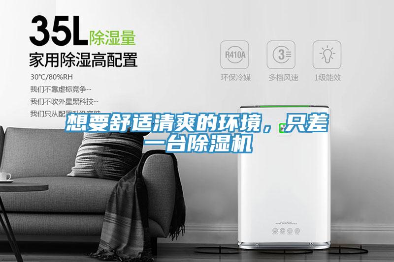 想要舒適清爽的環境,只差一臺除濕機