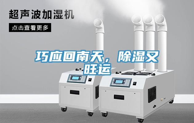 巧應回南天，除濕又旺運