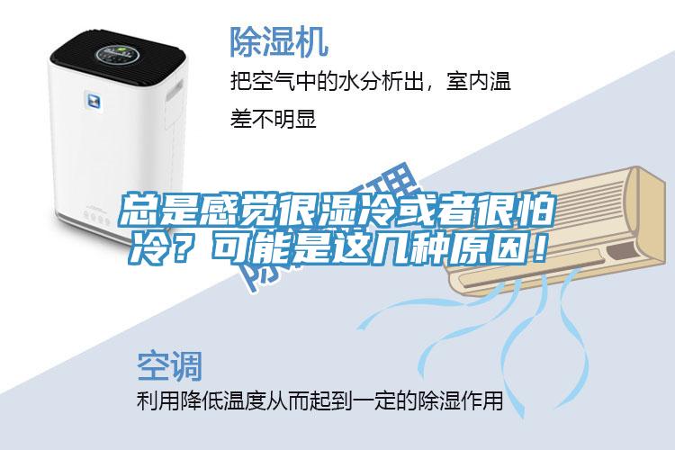 總是感覺很濕冷或者很怕冷?可能是這幾種原因!