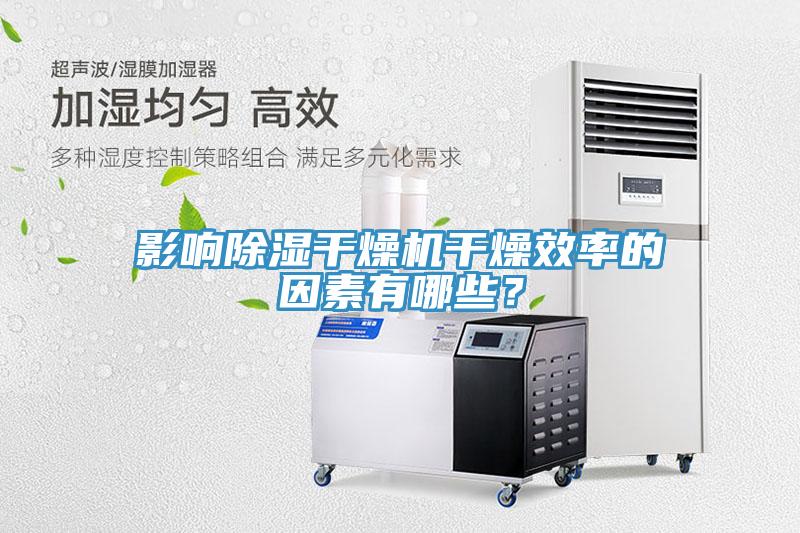 影響除濕干燥機干燥效率的因素有哪些?