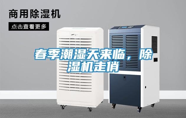 春季潮濕天來臨，除濕機(jī)走俏