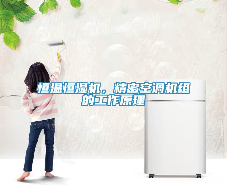 恒溫恒濕機，精密空調機組的工作原理