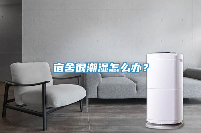 宿舍很潮濕怎么辦？