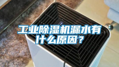 工業除濕機漏水有什么原因？