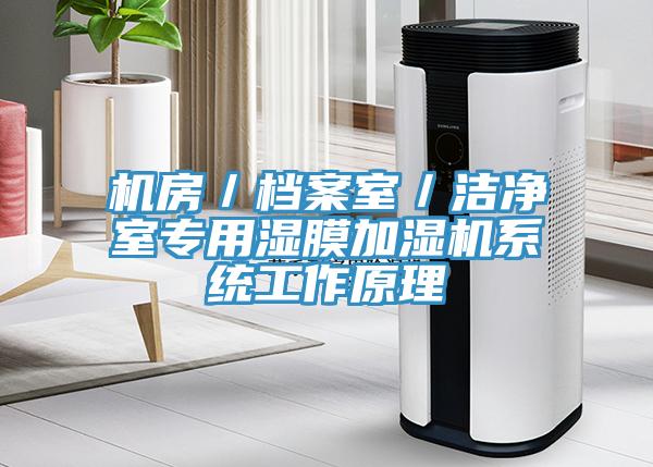 機房/檔案室/潔凈室專用濕膜加濕機系統工作原理