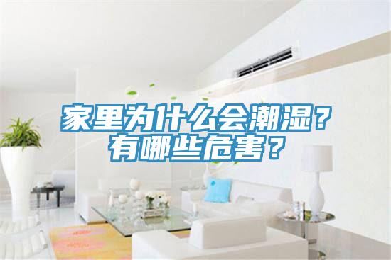 家里為什么會潮濕?有哪些危害?
