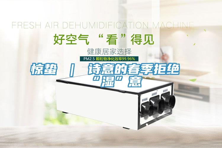 驚蟄 | 詩意的春季拒絕“濕”意