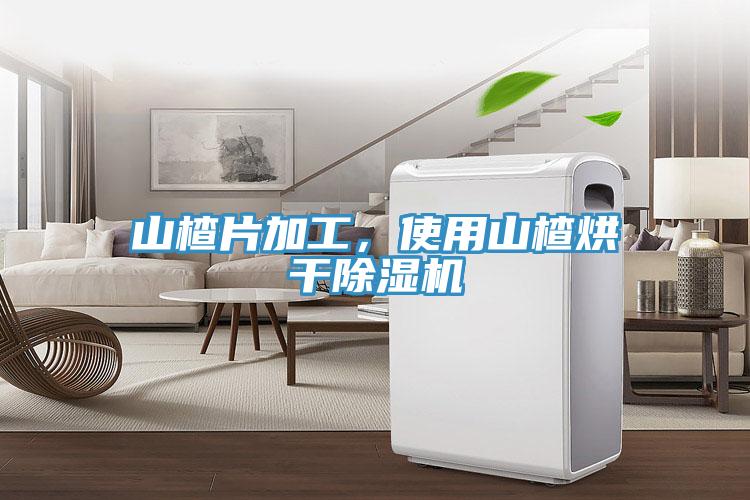 山楂片加工,使用山楂烘干除濕機