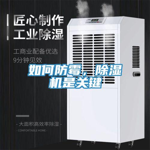 如何防霉,除濕機是關鍵