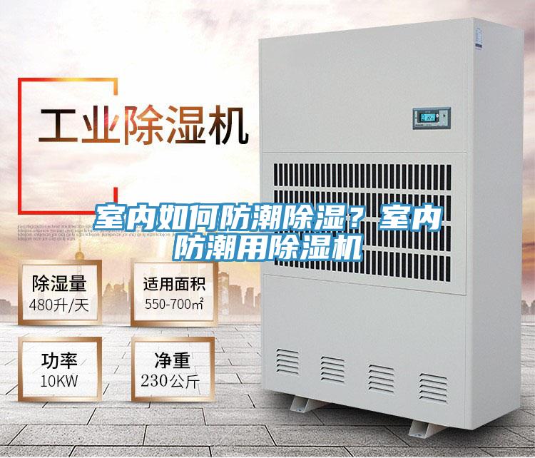 室內(nèi)如何防潮除濕？室內(nèi)防潮用除濕機(jī)