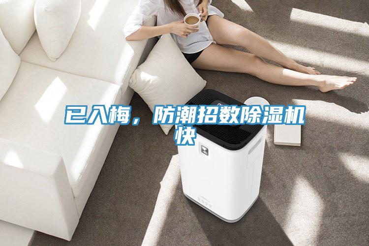 已入梅,防潮招數除濕機快