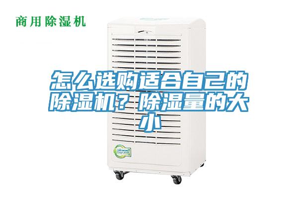 怎么選購適合自己的除濕機(jī)？除濕量的大小