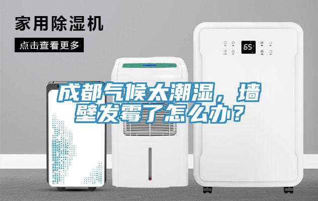 成都氣候太潮濕，墻壁發(fā)霉了怎么辦？